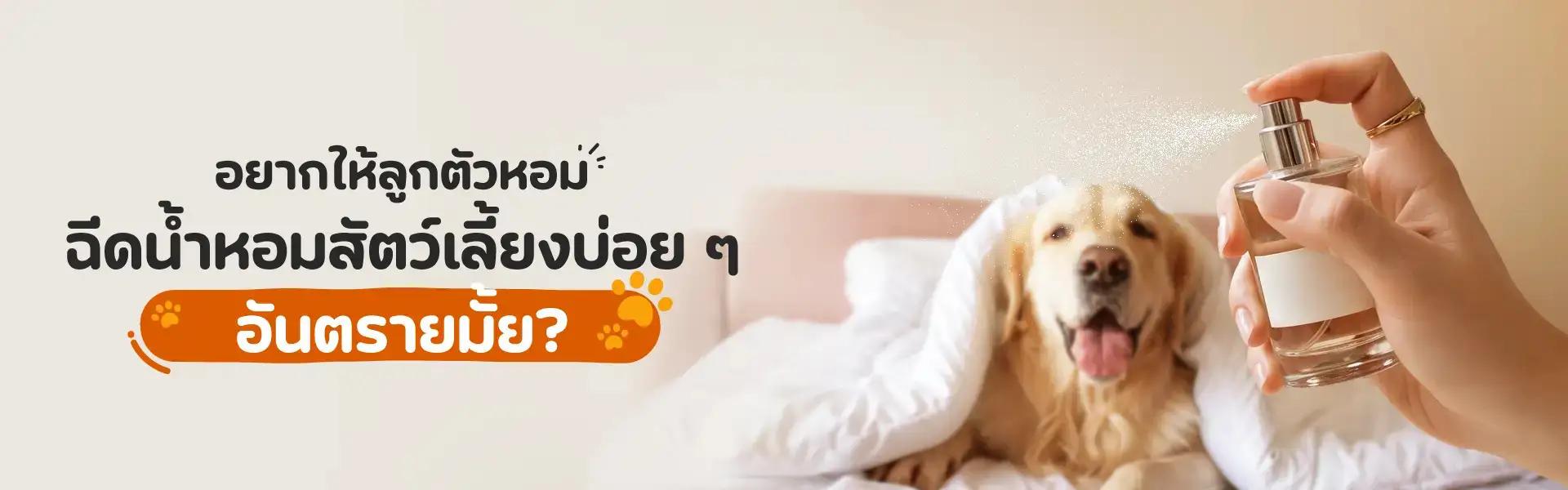 Article Banner