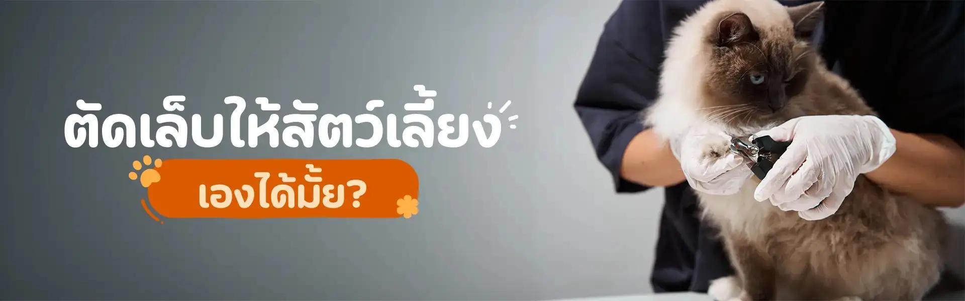 Article Banner