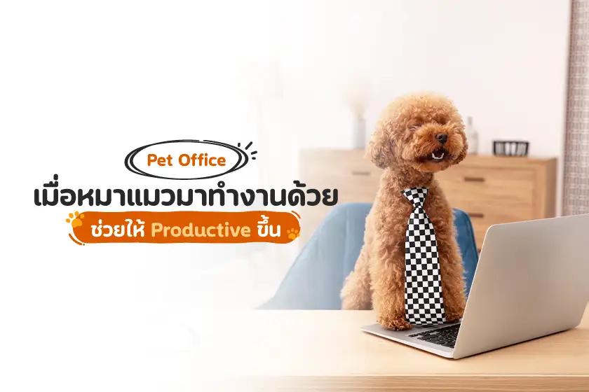 Pet Office เมื่อหมาแมวมาทำงานด้วย ช่วยให้ Productive ขึ้น