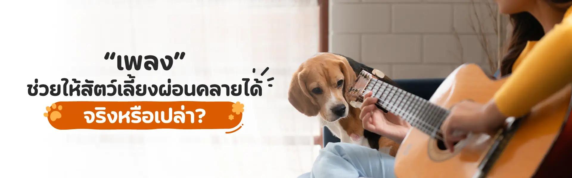Article Banner