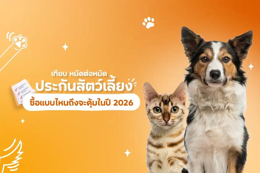เทียบ หมัดต่อหมัด ประกันสัตว์เลี้ยง  ซื้อแบบไหนถึงจะคุ้มในปี 2026