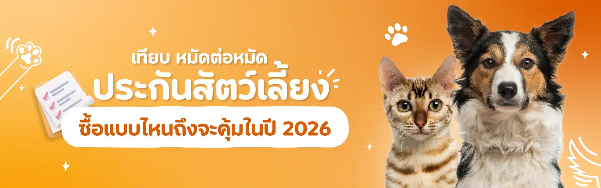Article Banner