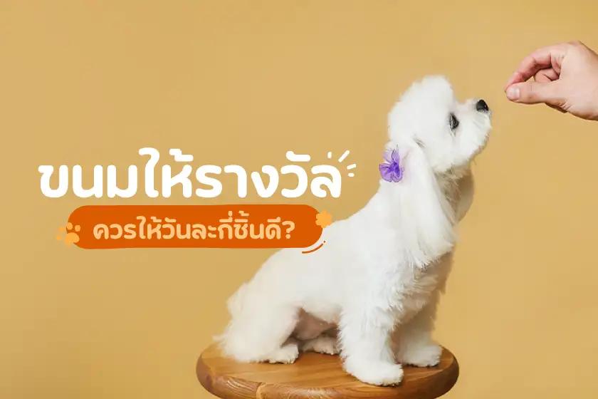 ขนมรางวัลควรให้วันละกี่ชิ้นดี?
