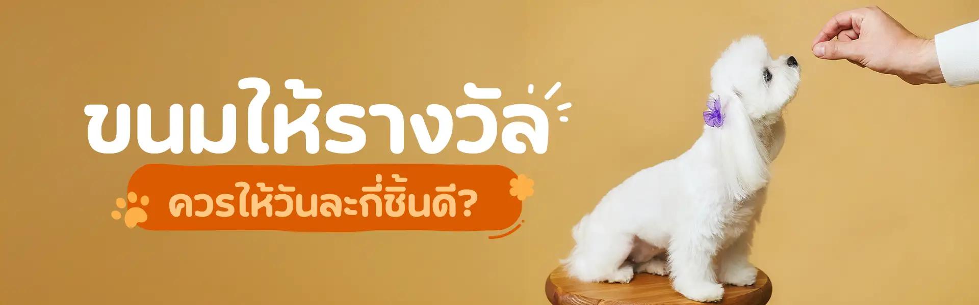 Article Banner