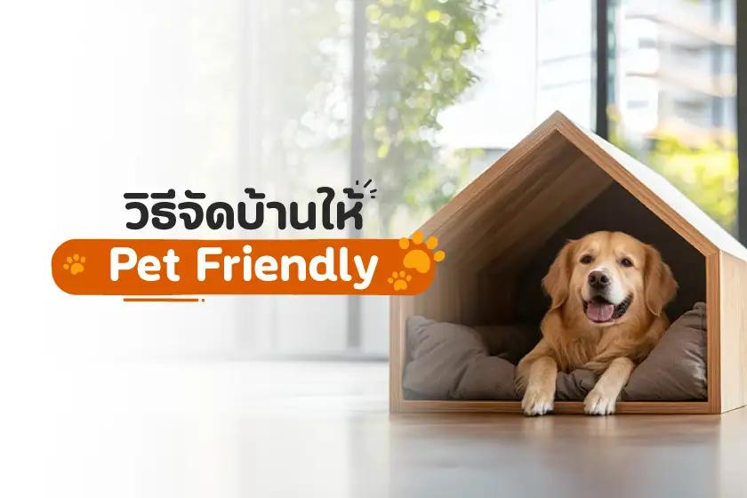วิธีจัดบ้านให้ Pet Friendly