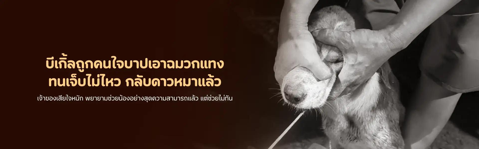 Article Banner