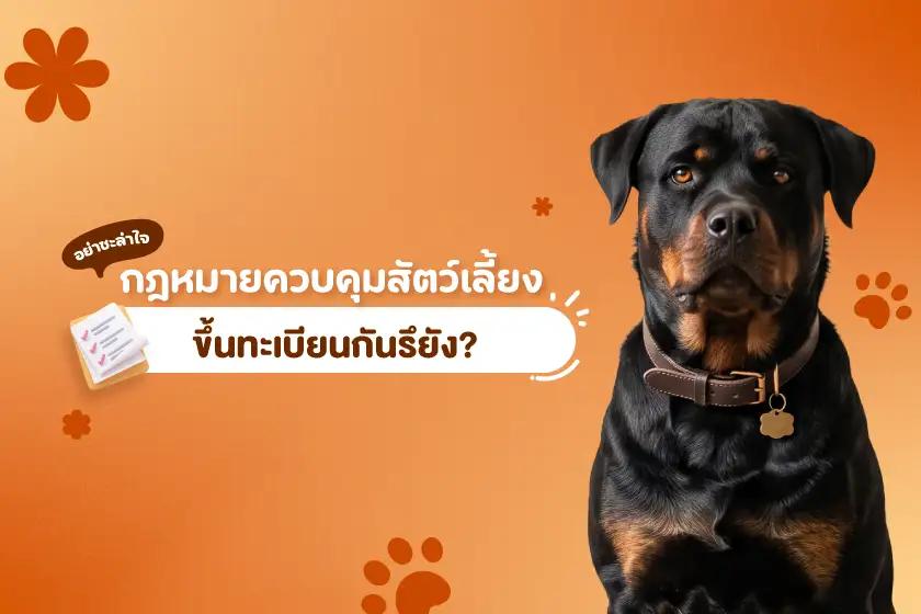 อย่าชะล่าใจ กฎหมายควบคุมสัตว์เลี้ยง ขึ้นทะเบียนกันรึยัง?
