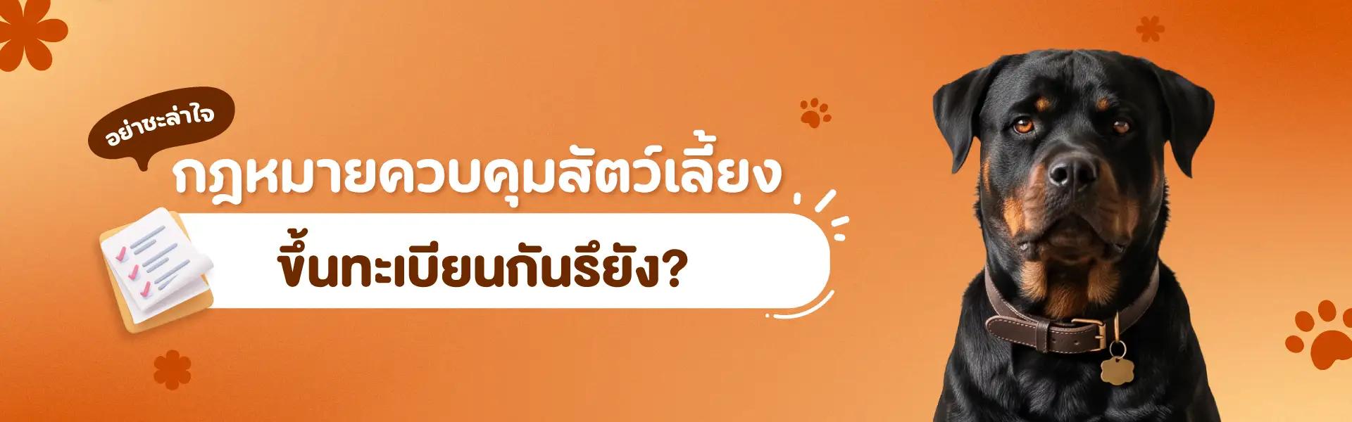 Article Banner