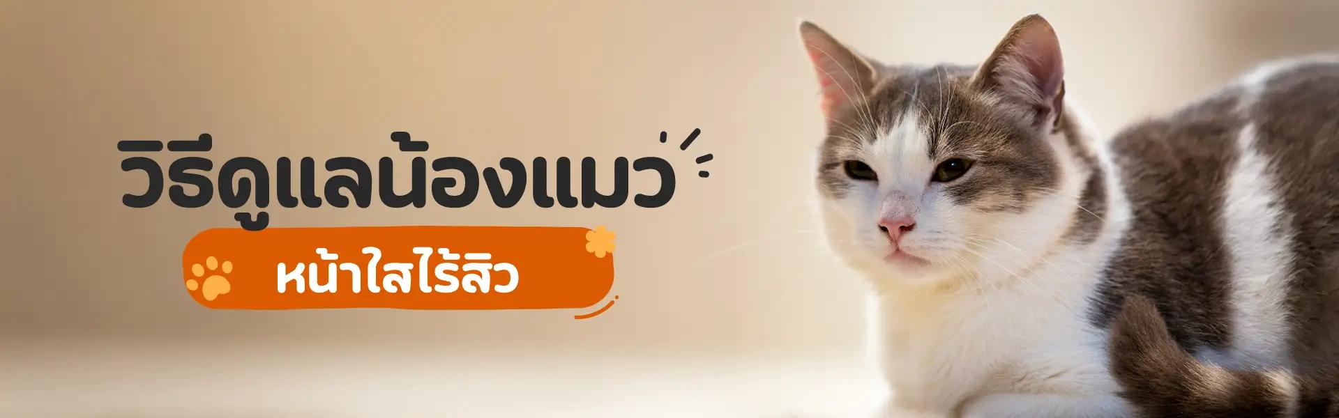 Article Banner