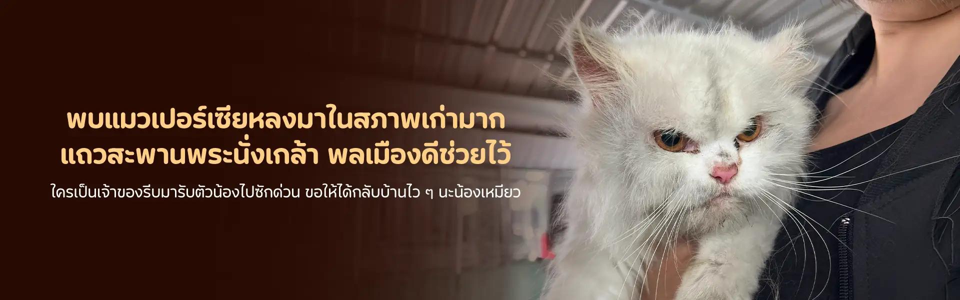 Article Banner