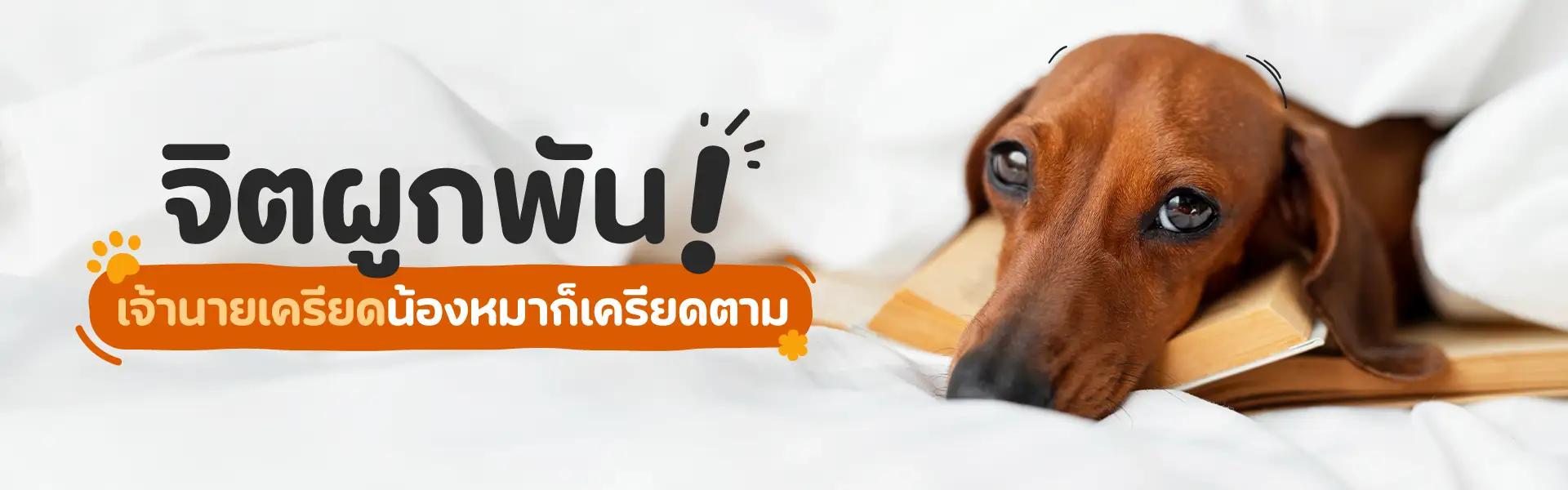 Article Banner