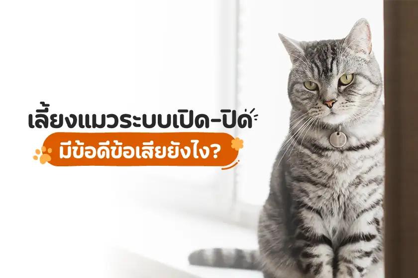 เลี้ยงแมวระบบเปิด-ปิด มีข้อดีข้อเสียยังไง?
