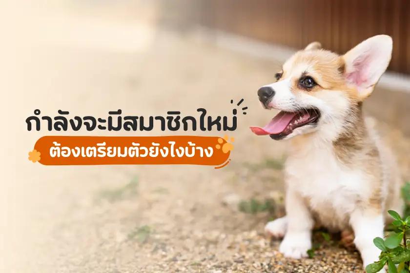 Article Banner