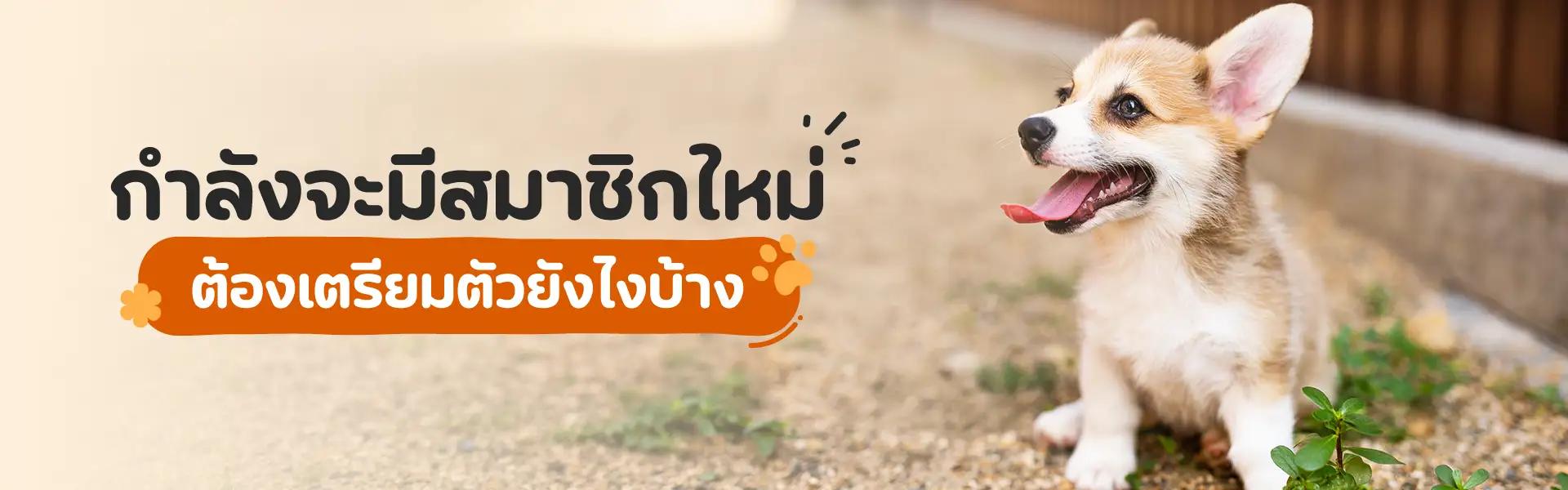 Article Banner