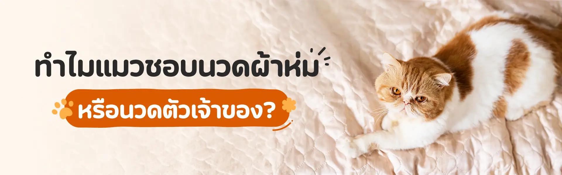 Article Banner