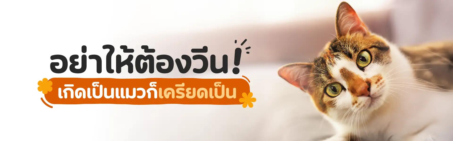 Article Banner