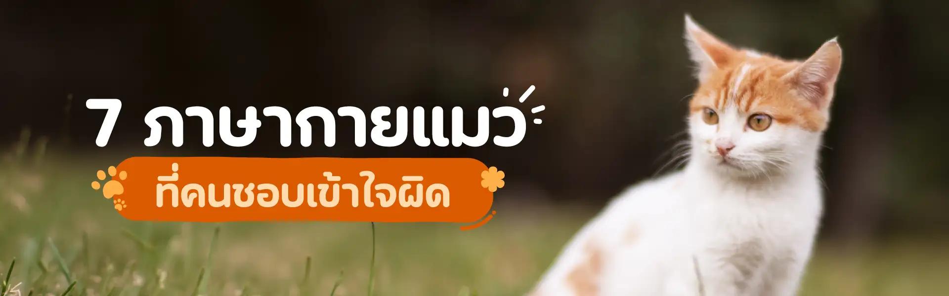 Article Banner