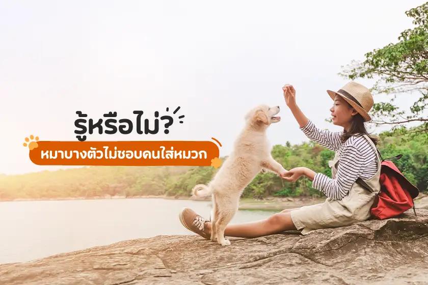 รู้หรือไม่? หมาบางตัวไม่ชอบคนใส่หมวก