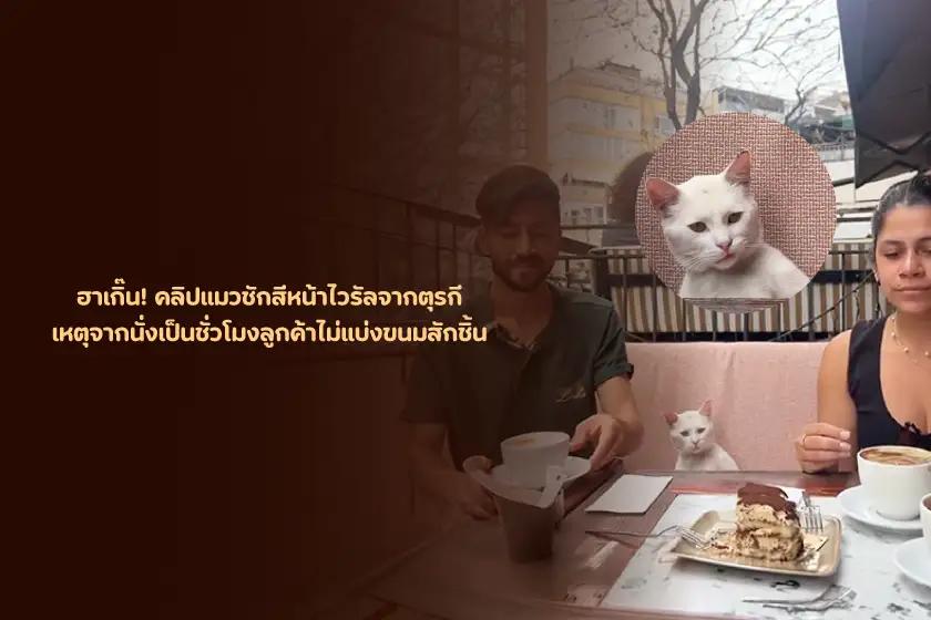 ฮาเกิ๊น! คลิปแมวชักสีหน้าไวรัลจากตุรกี  เหตุจากนั่งเป็นชั่วโมงลูกค้าไม่แบ่งขนมสักชิ้น