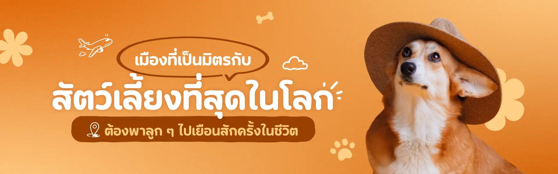 Article Banner
