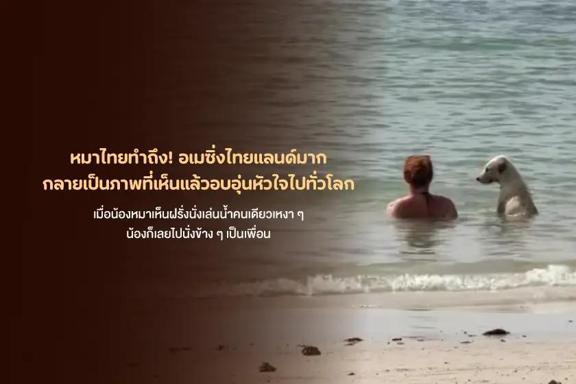 หมาไทยทำถึง! อเมซิ่งไทยแลนด์มาก กลายเป็นภาพที่เห็นแล้วอบอุ่นหัวใจไปทั่วโลก
