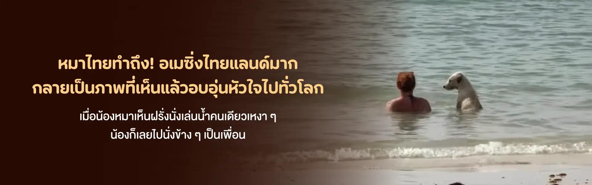 Article Banner