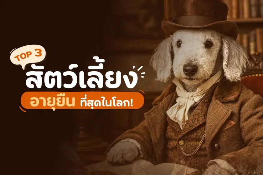 Top3 สัตว์เลี้ยงอายุยืนที่สุดในโลก