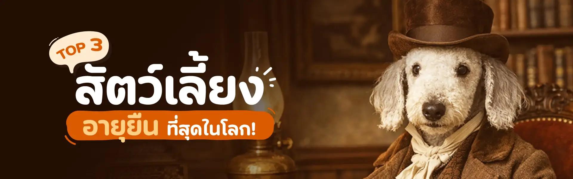 Article Banner