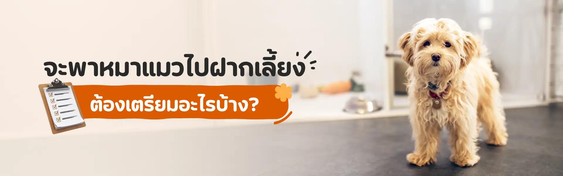 Article Banner