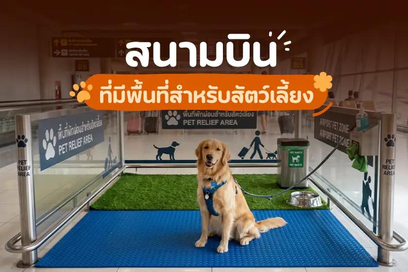 สนามบิน ที่มีพื้นที่สำหรับสัตว์เลี้ยง