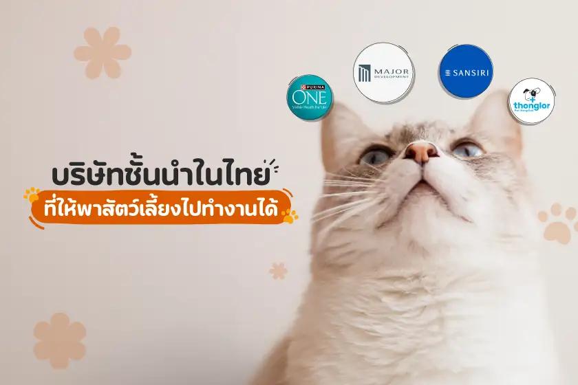 บริษัทชั้นนำในไทย ที่ให้พาสัตว์เลี้ยงไปทำงานได้