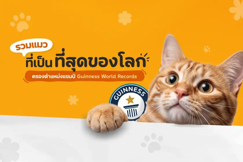 รวมแมวที่เป็นที่สุดของโลก ครองตำแหน่งแชมป์ Guinness World Records