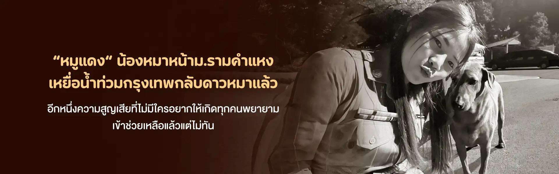 Article Banner