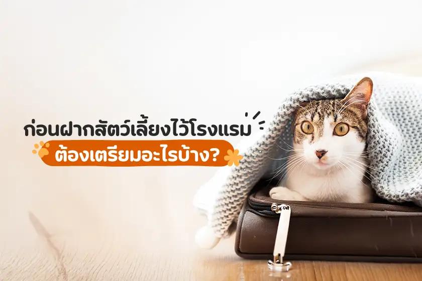 ก่อนฝากสัตว์เลี้ยงไว้โรงแรม ต้องเตรียมอะไรบ้าง?