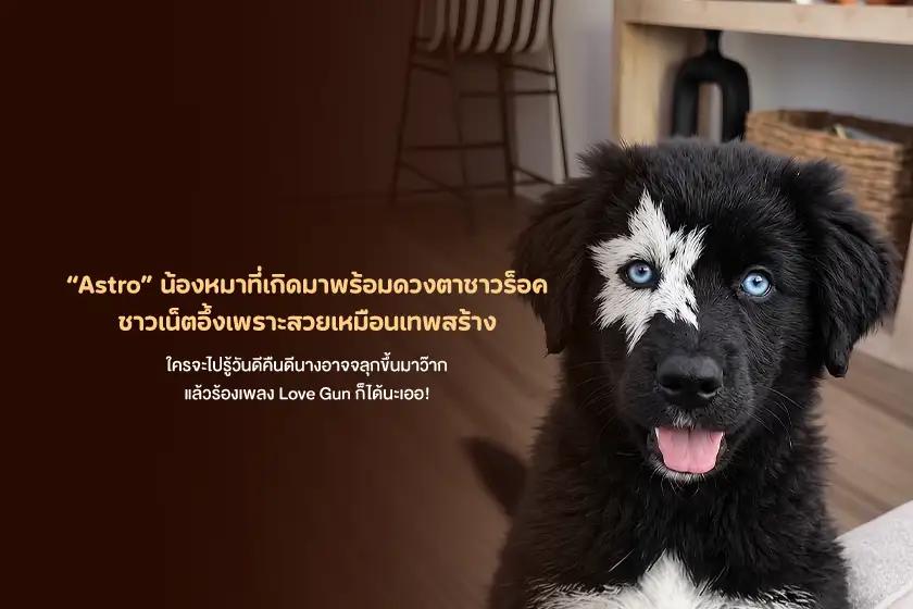 Astro น้องหมาที่เกิดมาพร้อมดวงตาชาวร็อค ชาวเน็ตอึ้งเพราะสวยเหมือนเทพสร้าง