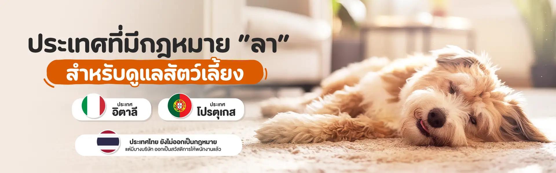 Article Banner