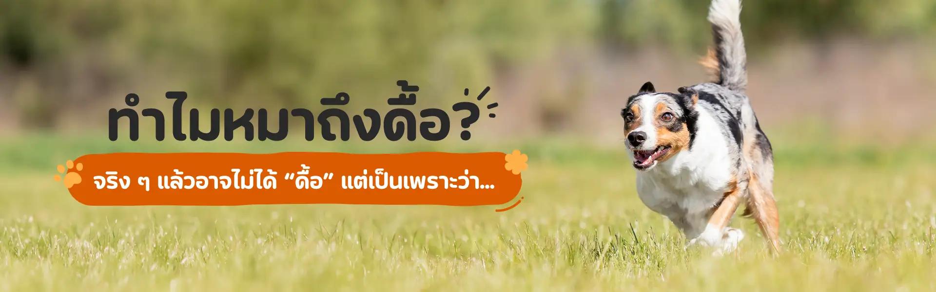 Article Banner