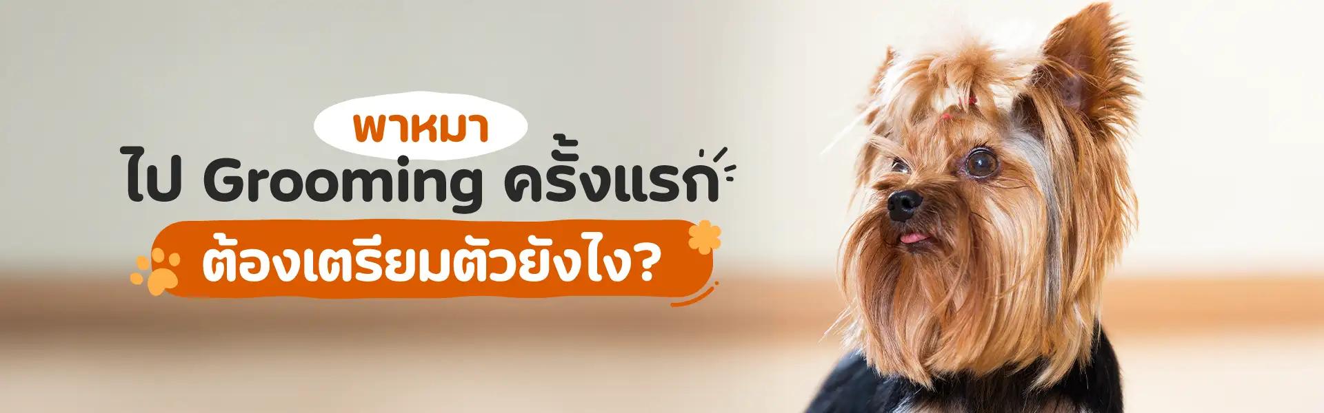 Article Banner
