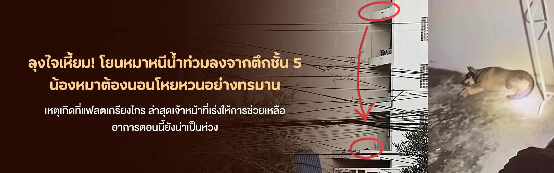 Article Banner