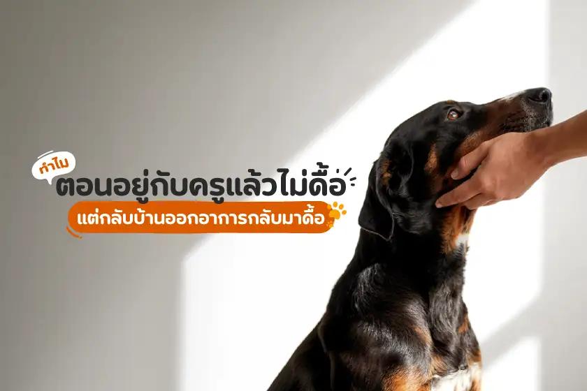 ทำไม ตอนอยู่กับครูแล้วไม่ดื้อ แต่กลับบ้านปุ๊บดื้อปั๊บ