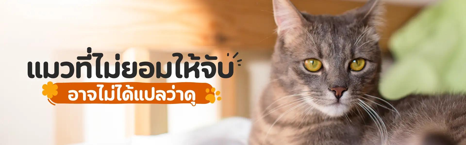 Article Banner