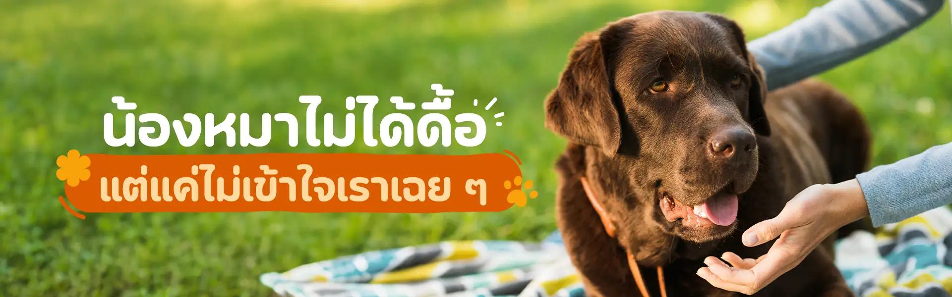 Article Banner