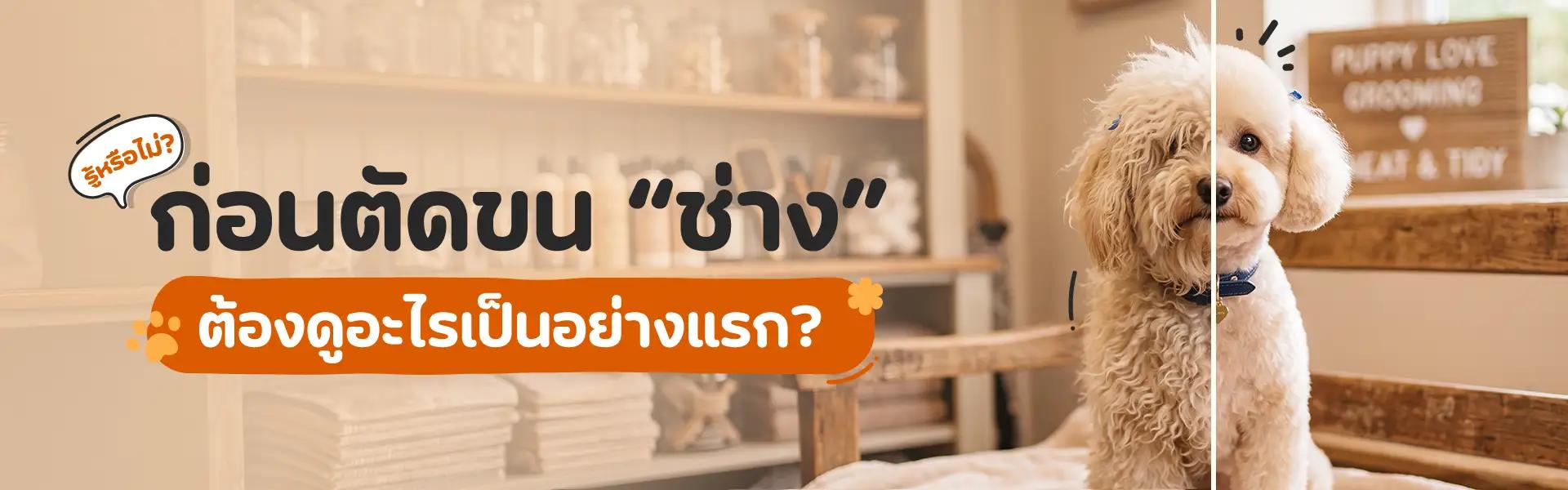 Article Banner