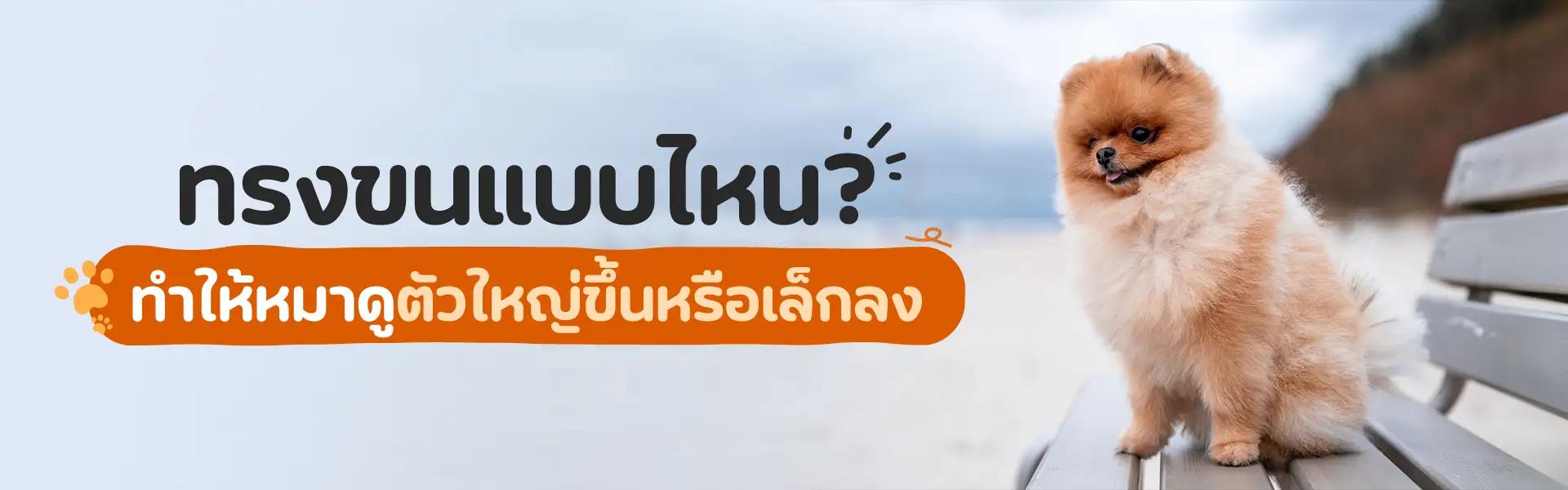 Article Banner