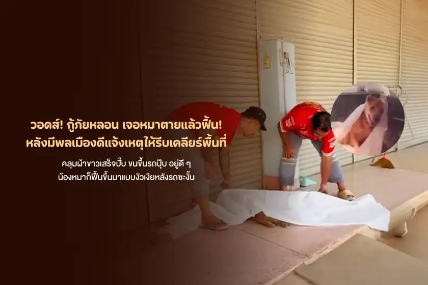วอดส์! กู้ภัยหลอน เจอหมาตายแล้วฟื้น! หลังมีพลเมืองดีแจ้งเหตุให้รีบเคลียร์พื้นที่ 