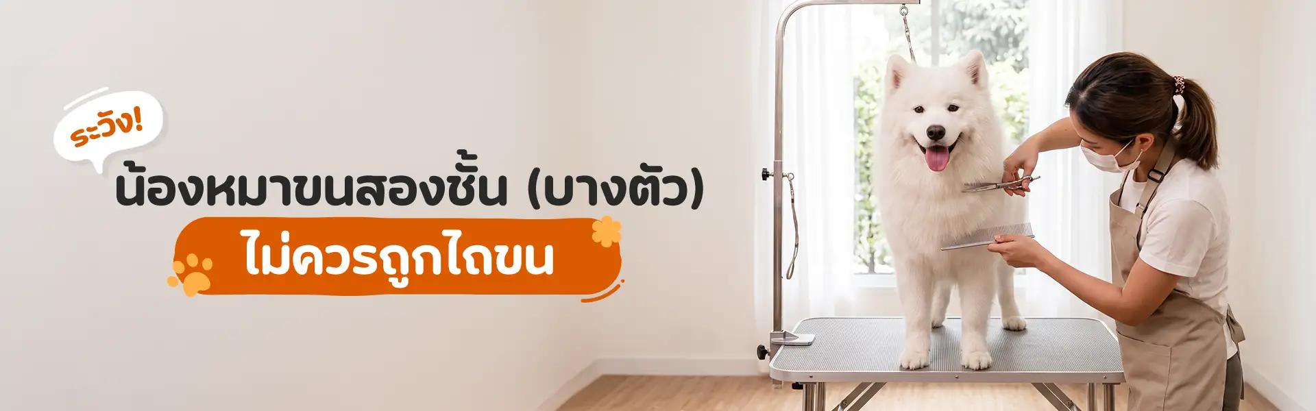 Article Banner