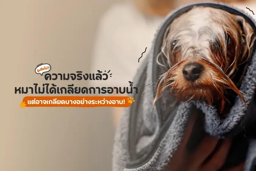 รู้หรือไม่? ความจริงแล้วหมาไม่ได้เกลียดการอาบน้ำ แต่เกลียดบางอย่างระหว่างอาบ