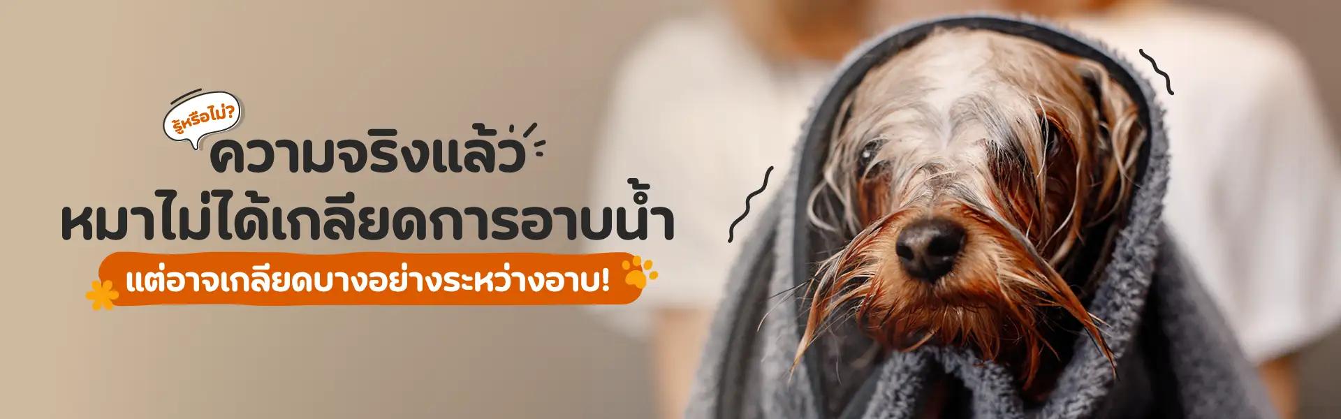 Article Banner