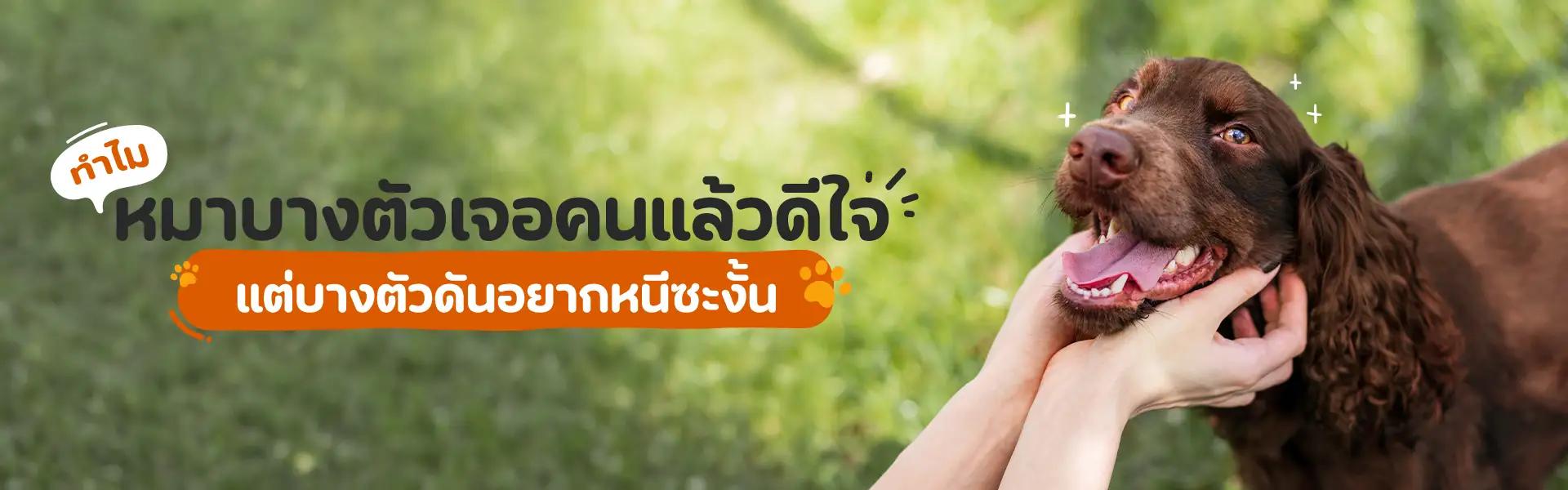 Article Banner