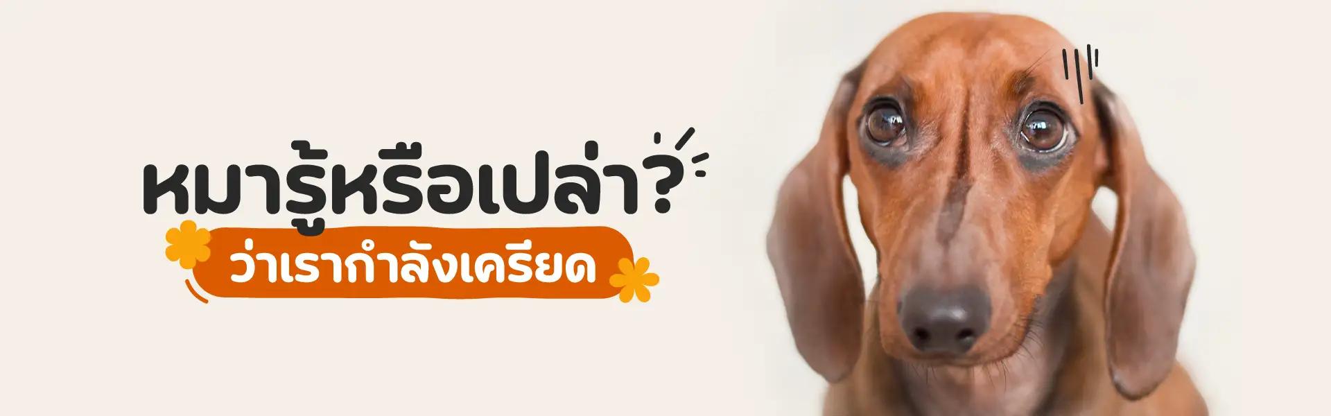 Article Banner